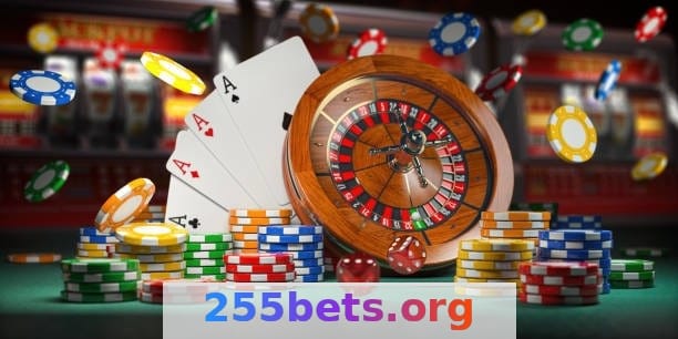 255bet - Fundador e CEO João Batista – A História de Sucesso da 255bet 3 Imagem ilustrativa